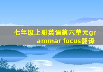 七年级上册英语第六单元grammar focus翻译